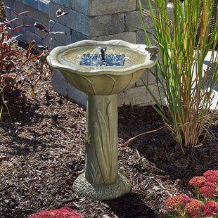 solar bird bath heater birdbath acadia